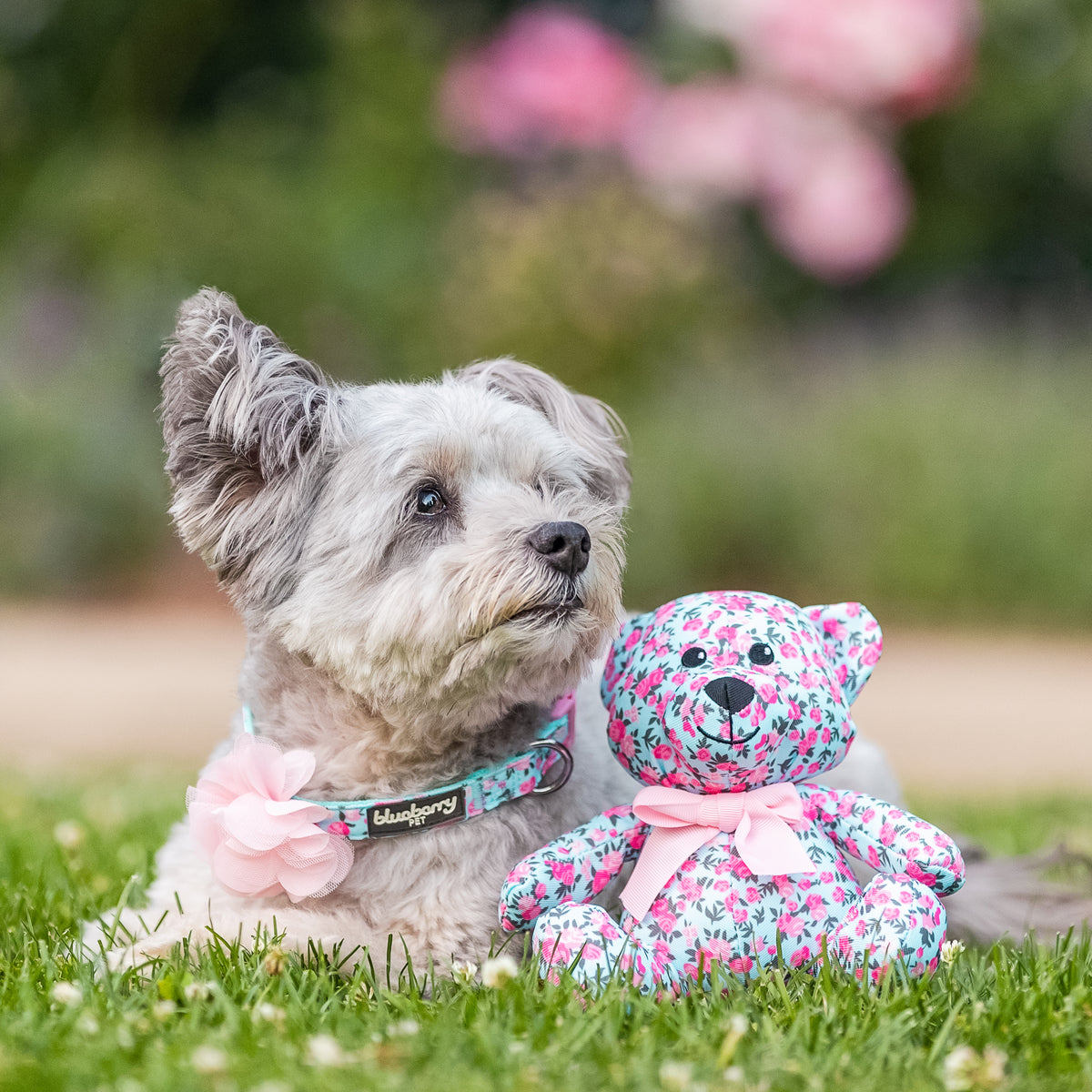 Black Floral Dog Bow Collar Leash Set