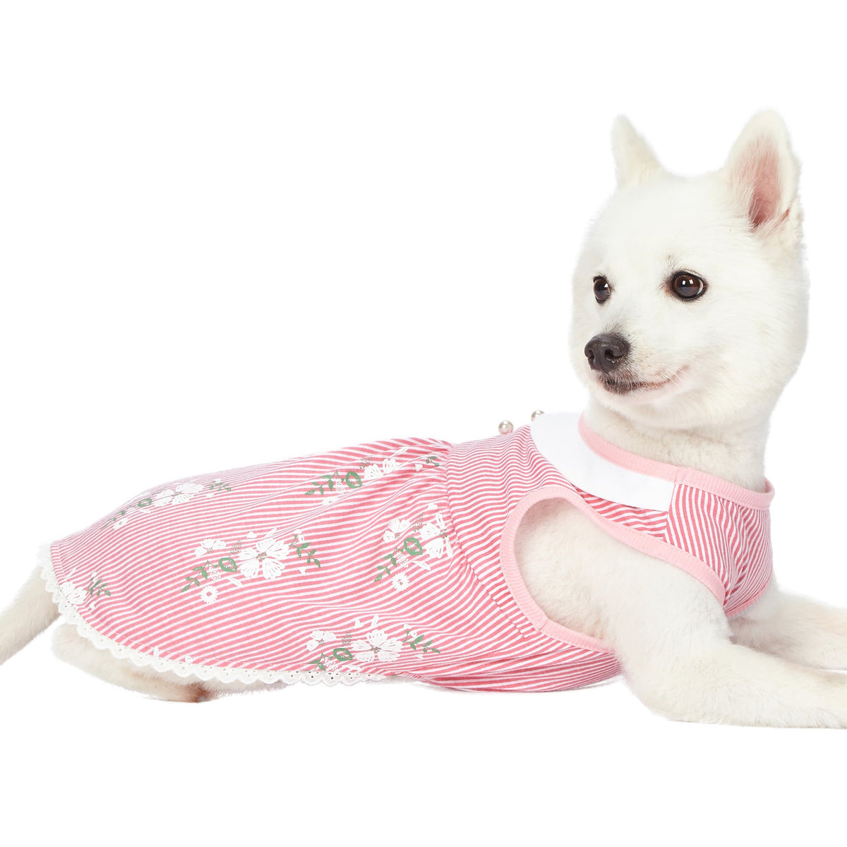 Wonderland Floral Pink Stripe Dog Dress For Pups Chic Look