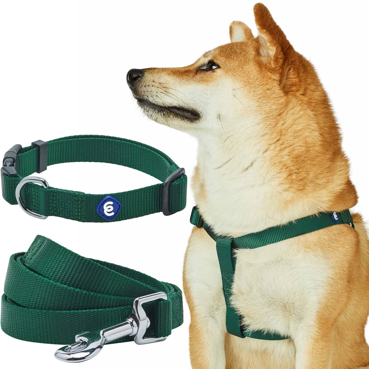 Bright Orange Dog Collar Leash Harness Set For Dogs | Blueberry Pet