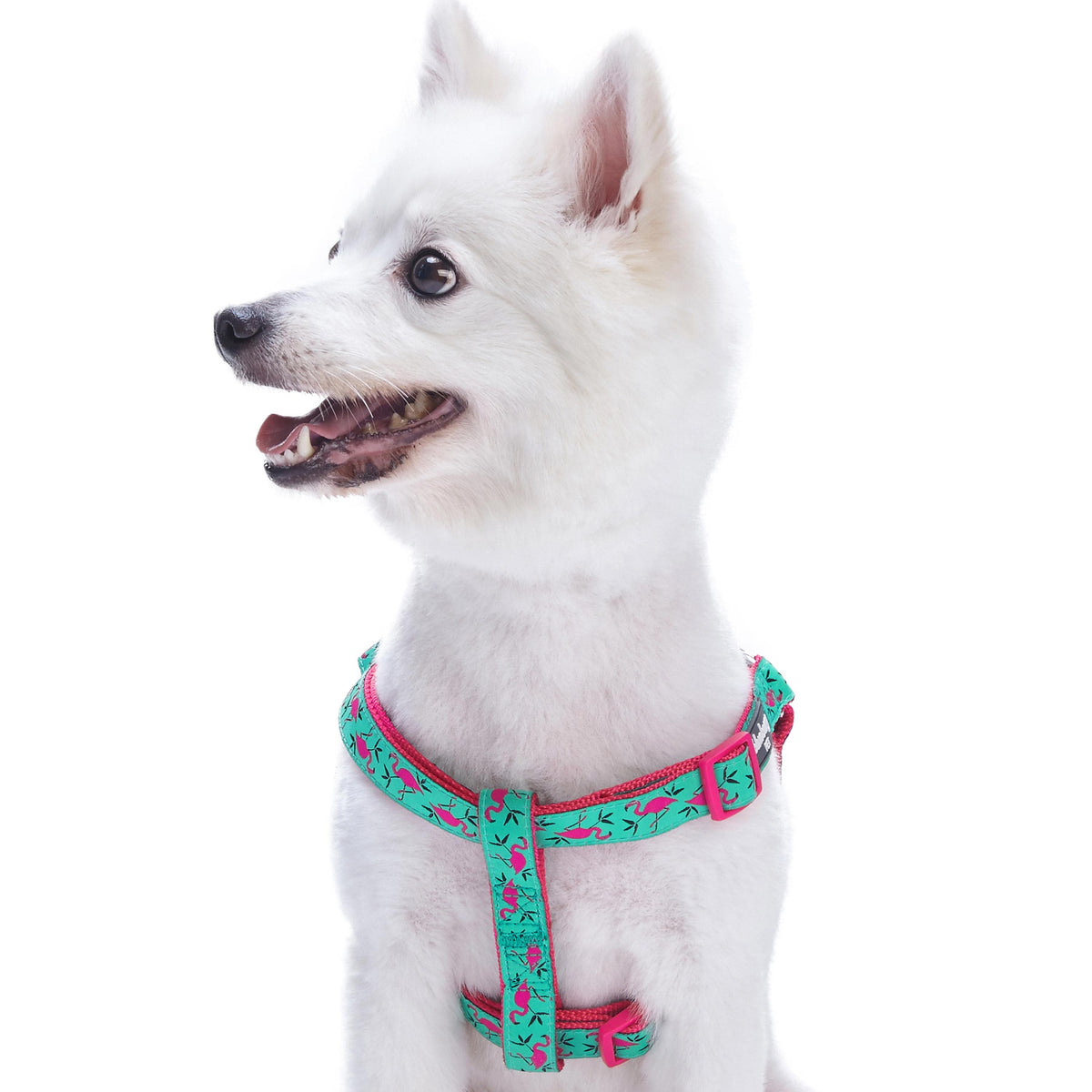 Ladybug dog harness shop