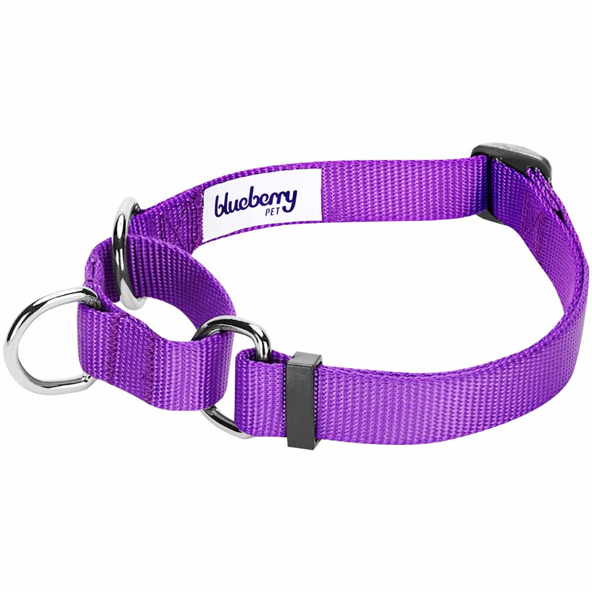 Martingale Safety Training Dog Collar Purple