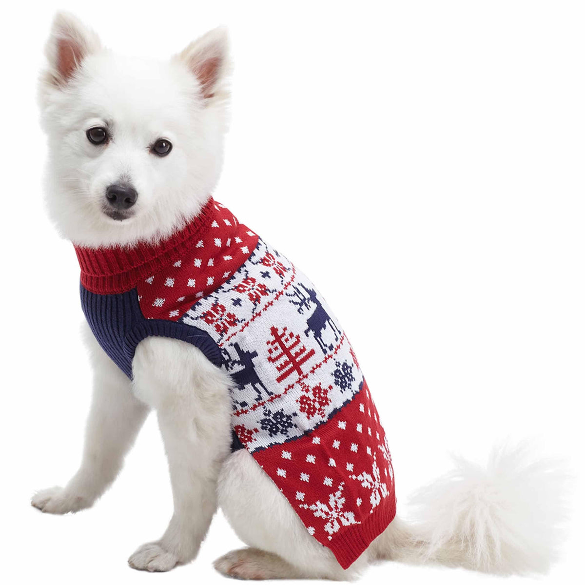 Amazon Christmas Sweaters For Big Dogs Ugly Christmas Sweater Dog