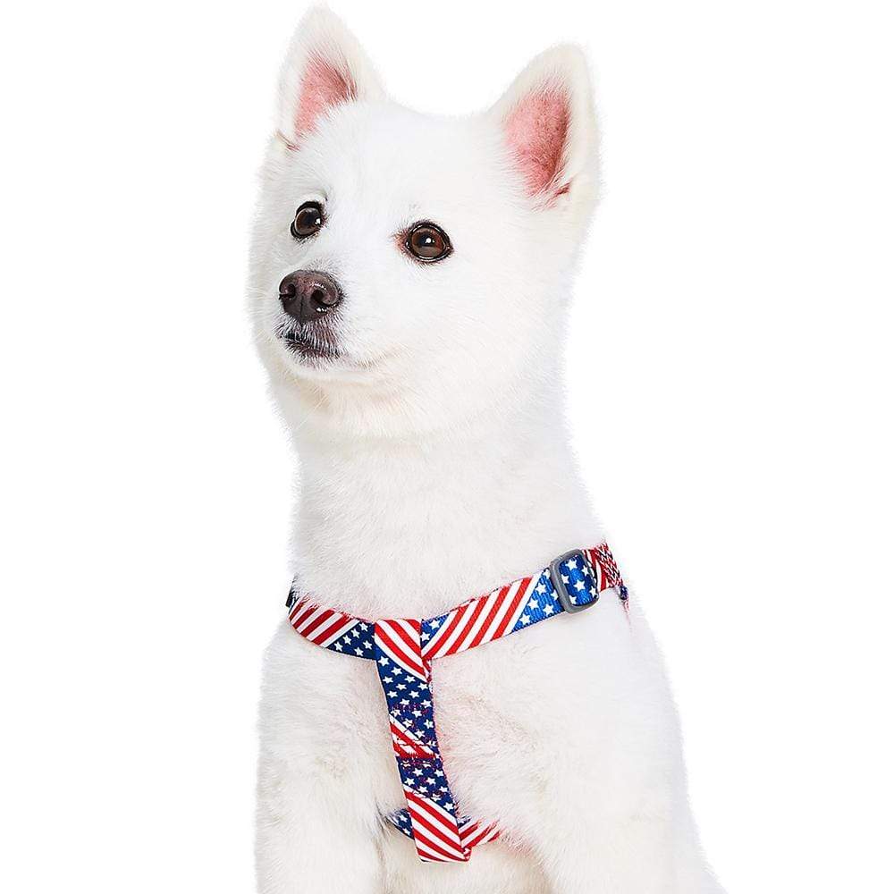 American Flag Dog Harness Premium For Patriotic Pet Lovers Blueberry