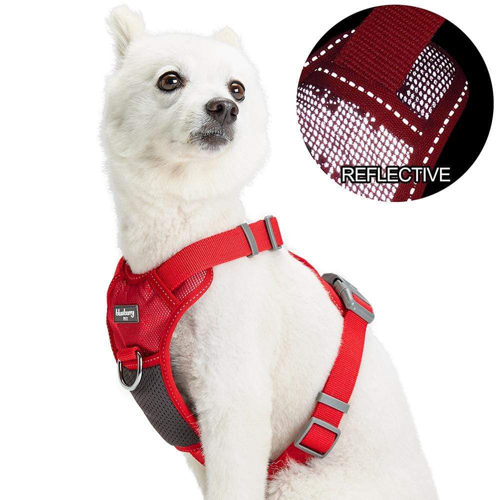 Reflective No-Pull Dog Harness