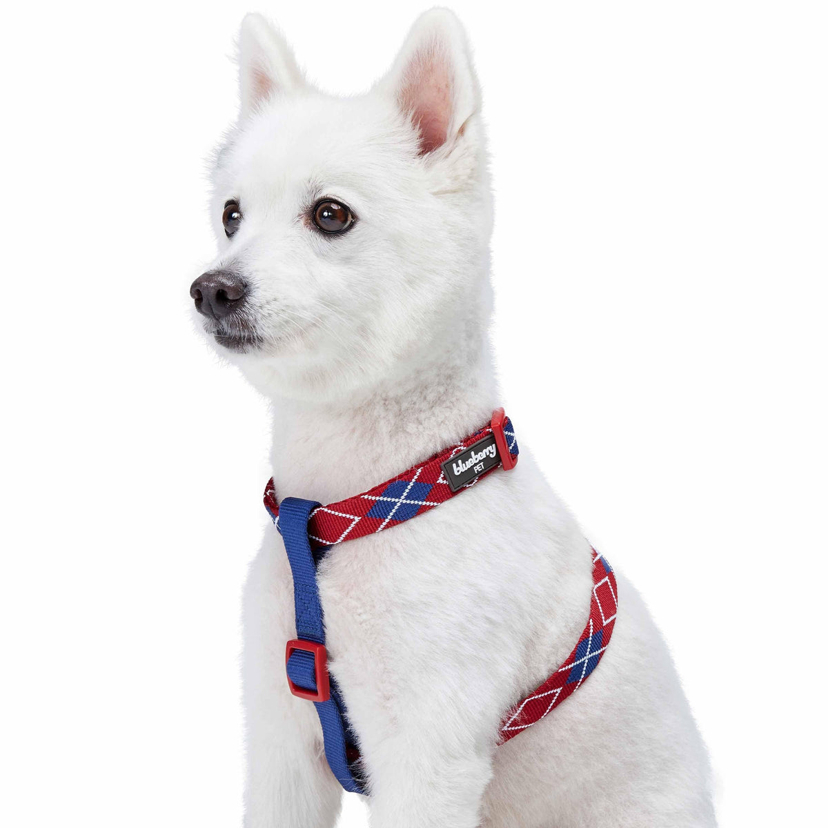 Blueberry Pet Dog Harness in Scottish Argyle