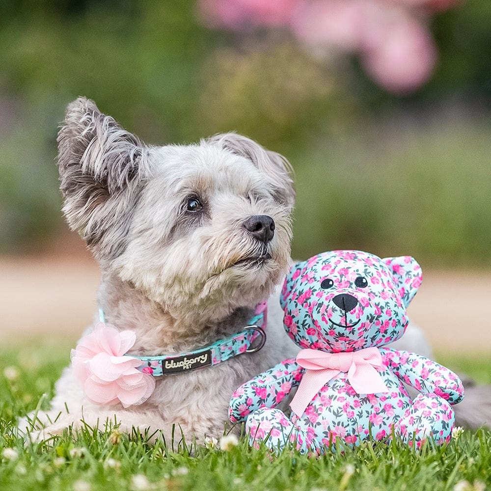20 Stück Halsband-Blumen Mit Perlen – Bunte Schleifen & Charms Für Hund & Katze
