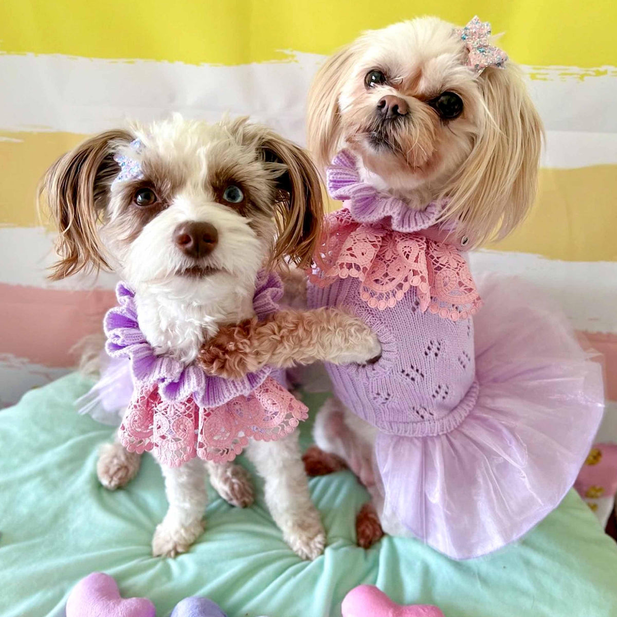 Lilac Princess Ruffle Collar Dog Dress Outfit For Dogs