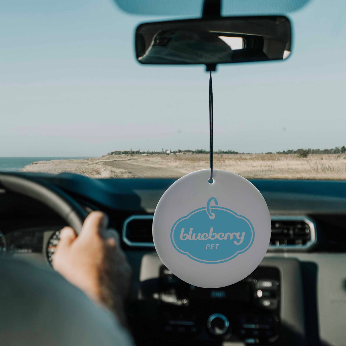 6 Pack Hanging Air Fresheners for Pet Friendly Car, Office or Home