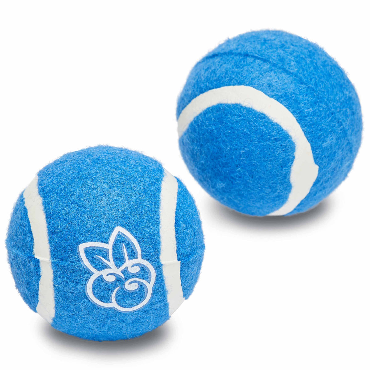 2 Pack 2.5" Squeaking and Fetching Tennis Ball Dog Toys in Blue – Blueberry  Pet