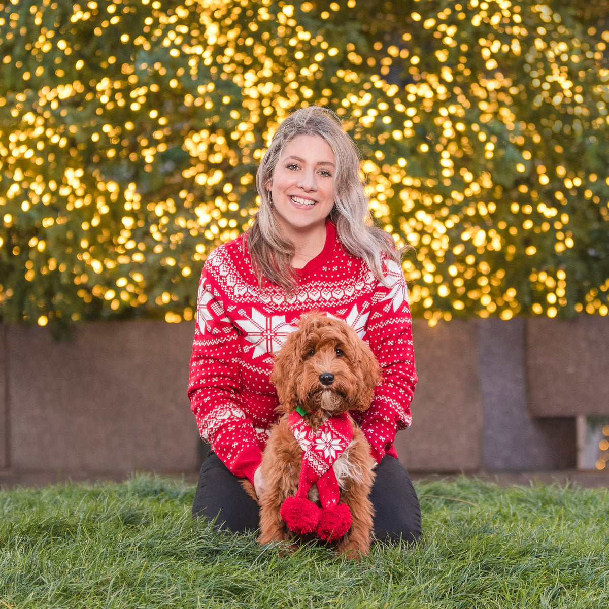 Blueberry Pet Christmas Dog Collars, Accessories and Apparels