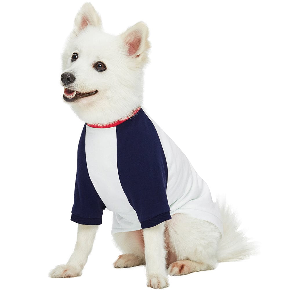 Dogs & Cats & Co. Down by The Sea Matching Dog & Kid T-shirt | Blueberry Pet DCCDTEEE00002WT10