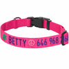 Dog Collar Essentials by Blueberry Pet Personalized Dog Collar with Pet Name and Phone, Pink/Red