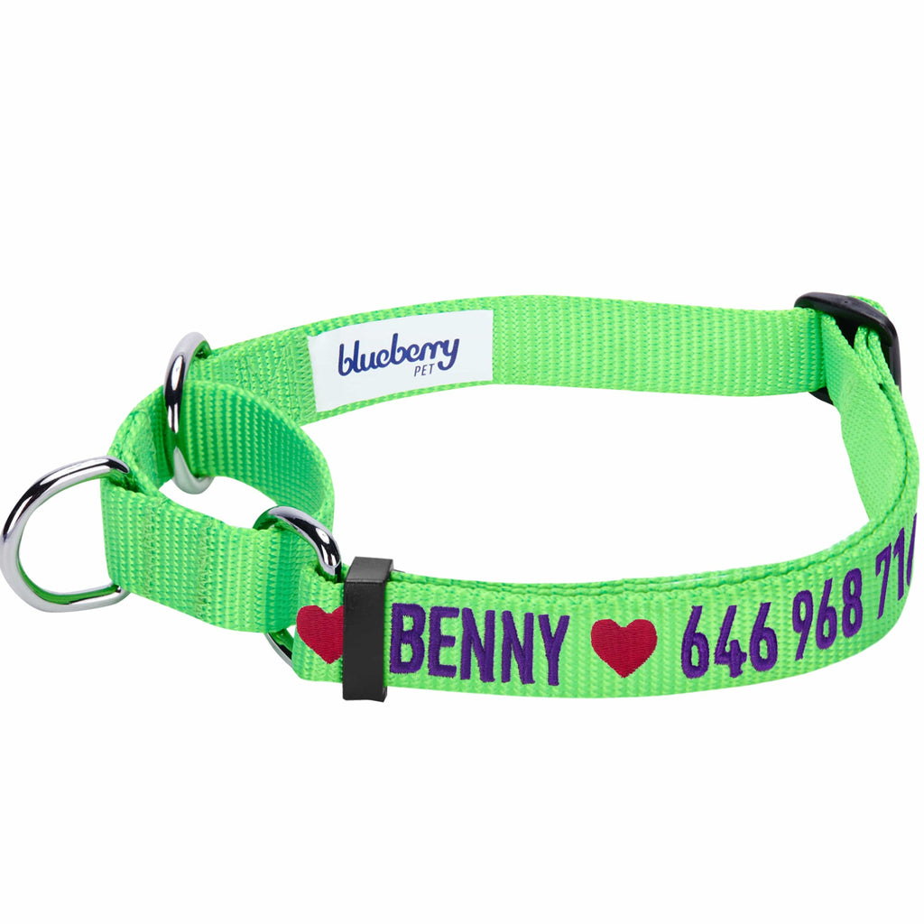 Personalized martingale collar online