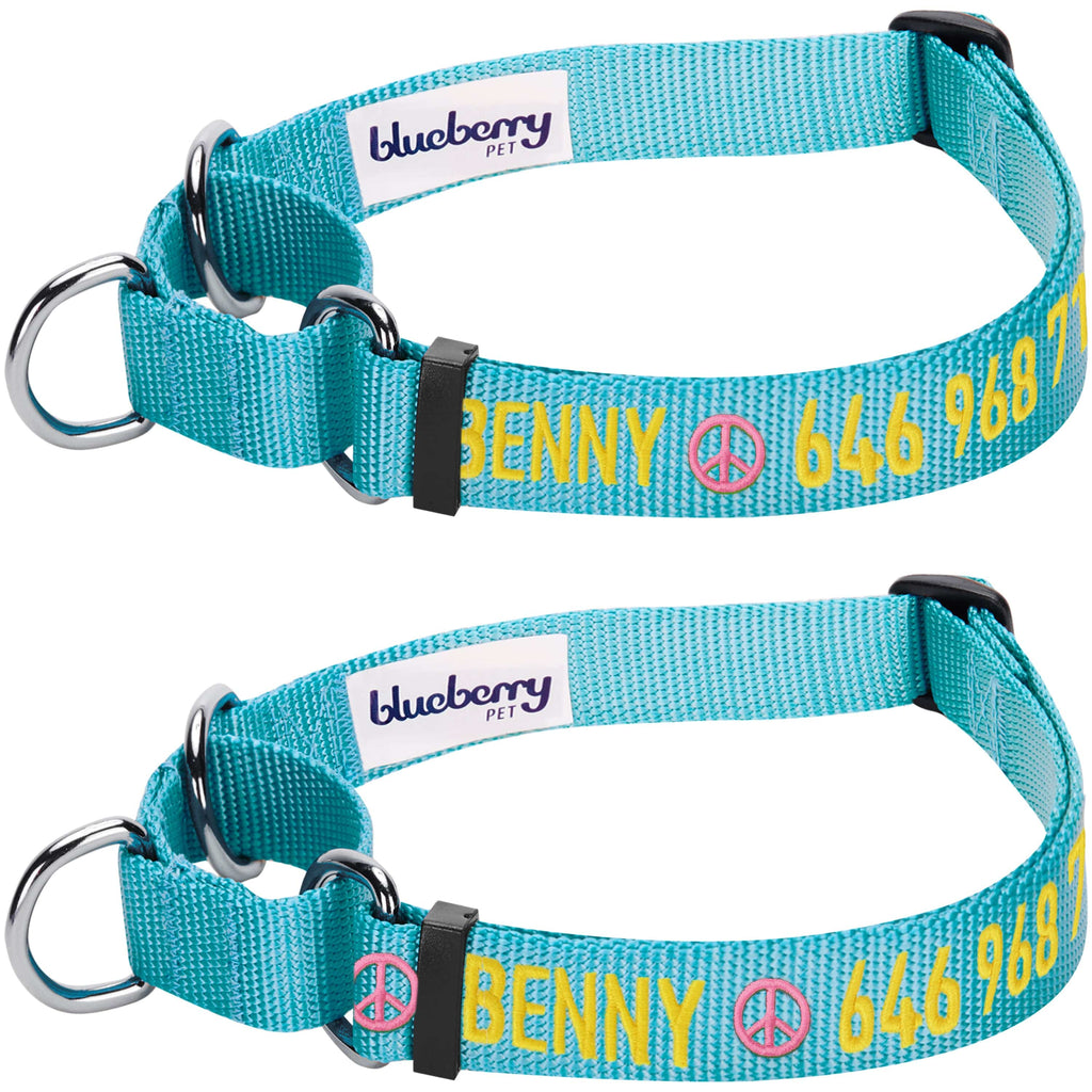 Personalized Martingale Dog Collar Personalized Martingale Safety