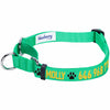 Dog Collar Essentials by Blueberry Pet Nylon Personalized Martingale Safety Training Dog Collar Green for Puppy Boy Girl Dog