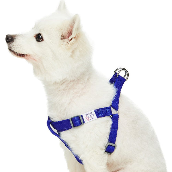 Dogs And Cats And Co Classic Solid Color Dog Harness | Blueberry Pet
