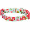 Dog Collar Blueberry Pet Personalized Petal Paws Floral Dog Collar