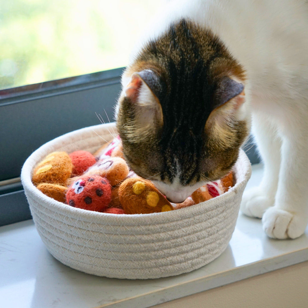cat toy Blueberry Pet Handmade Wool Felt Cat Toy Set – 36-Piece Bakery-Inspired Collection 🐾 Perfect for Playful Paws – Soft, Lightweight, and Fun! 🐾