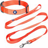 Blueberry Pet Essentials Matching Dog Collar and Double Handle Leash Set Florence Orange - Collar + Double Handle Leash / X-Small