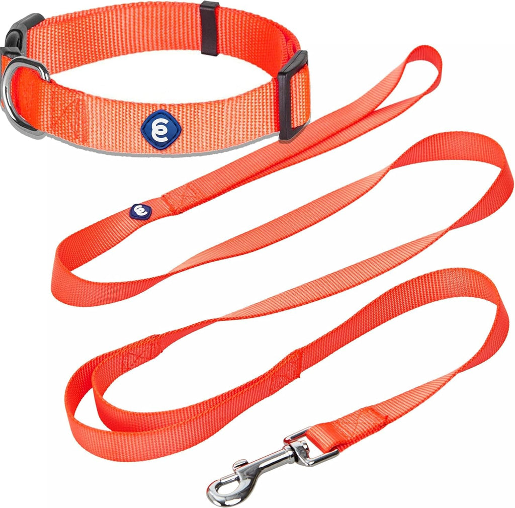 Blueberry Pet Essentials Matching Dog Collar and Double Handle Leash Set Florence Orange - Collar + Double Handle Leash / X-Small