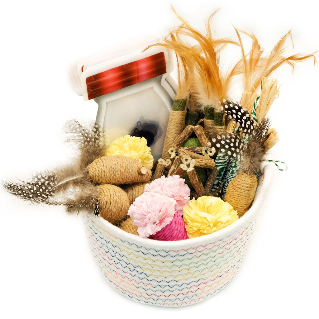 cat toy Blueberry Pet [Gift Pack] Silvervine Stick Cat Toy Set – 61 Pack Natural Play Collection