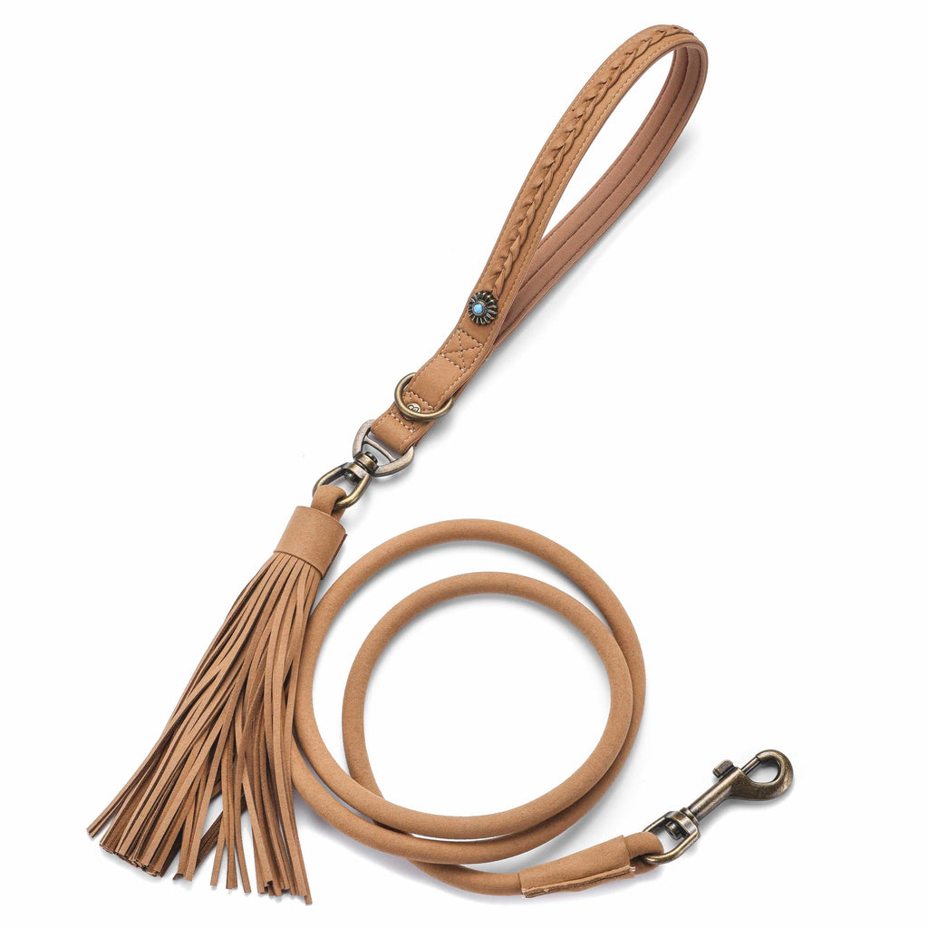 Blueberry Pet Silver-Powered Freshness Microfiber Suede Dog Leash Fringed Style with Turquoise Studs