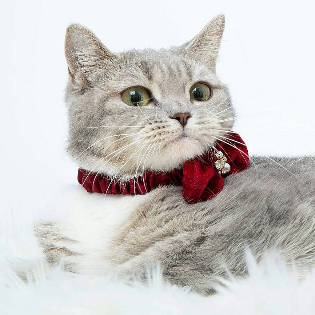 Sheer Passion Pink Bow Cat Collar With Rhinestones Pearls | Blueberry Pet