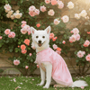 Dog Dress Blueberry Pet My Little Princess Dog Tulle Dress With Dainty Flowers
