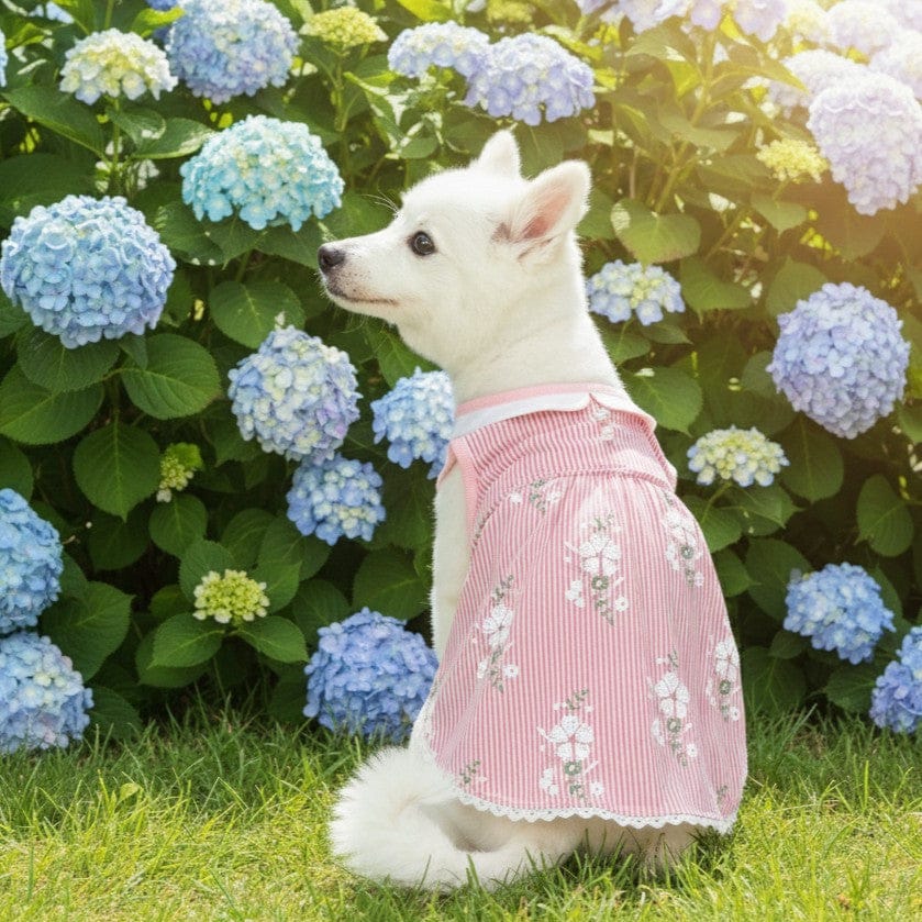 Wonderland Floral Pink Stripe Dog Dress For Pups Chic Look