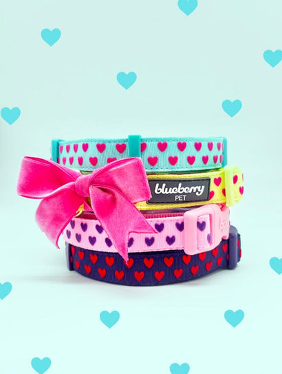 Blueberry Pet x SPCAI Special Edition Compassion Set