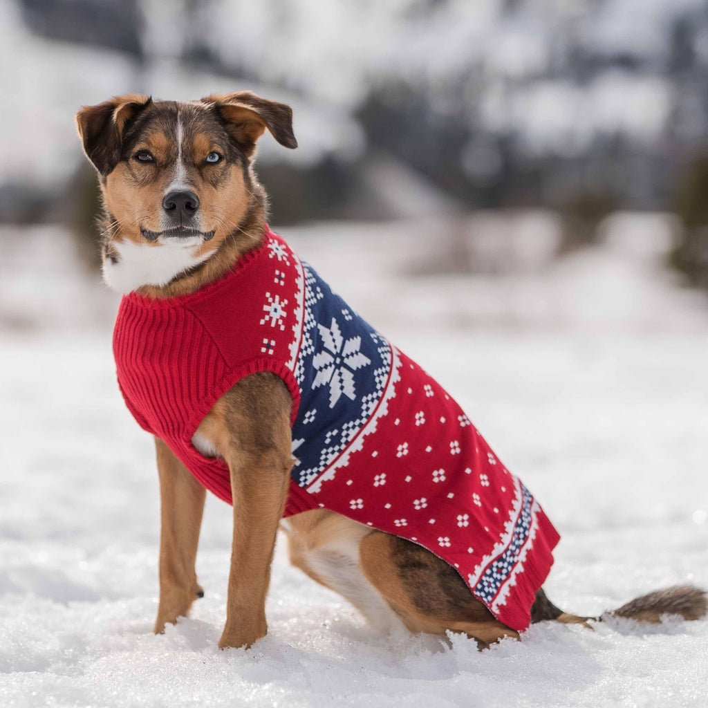 dog christmas sweater dress FastXmas Christmas Style Dog Sweater Dress,Pine-Tree Pattern Dog Sweater,Warming and Cosying Dog Pet Dress,Christmas Stripe Dog Sweater,Double