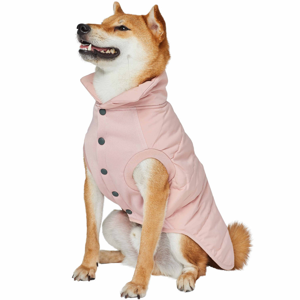 Barn Dog Coat, Quilted, Light weight & Water Resistant