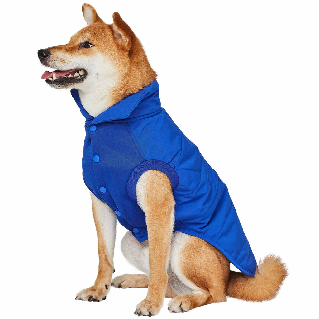 Puppy Winter Jacket 10 Best Gf Pet Elastofit August 2025 Dog