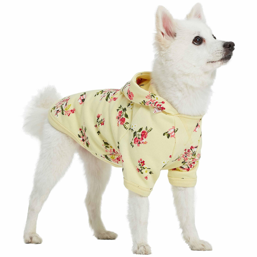 Spring-Scented Floral Print Dog Hoodie for Stylish Pets