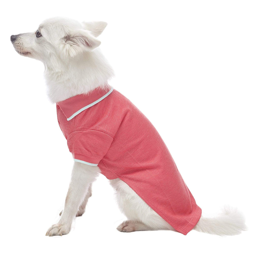 Dog polos hotsell