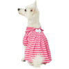 Dog Dress Blueberry Pet Summer Vacation Beach Dog Dress, Sea Lover Rose Pink Striped Dress Rose Pink / 10
