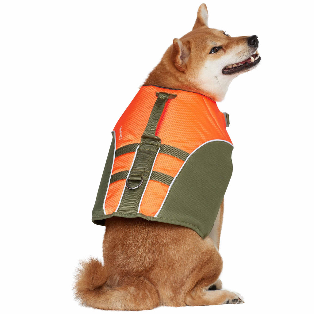 Orange dog life jacket cheap
