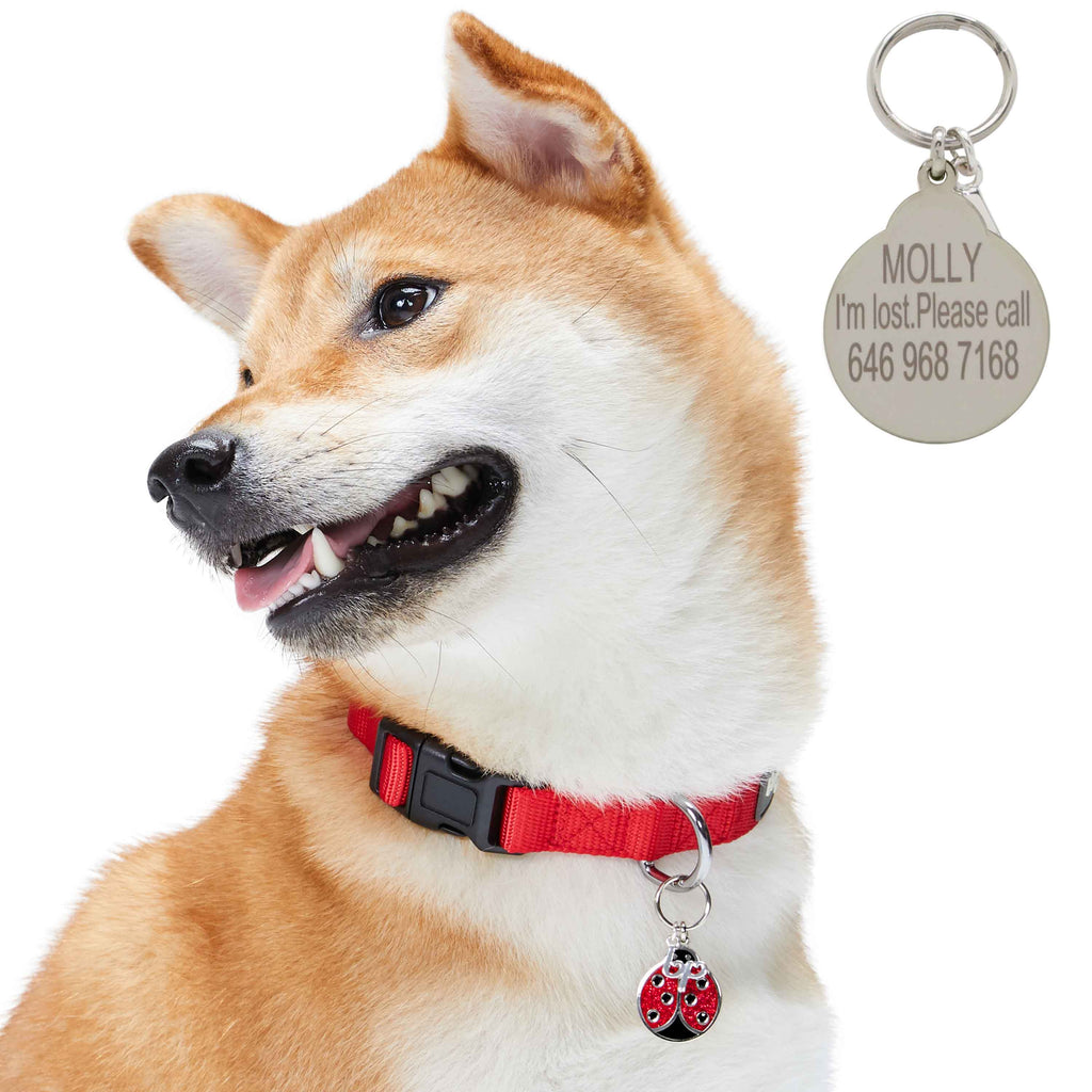 Designer Dog Keychain