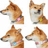 AirTag Holder Blueberry Pet 4 Pack AirTag Pet Collar Holders Light Blue + Rose + White + Yellow
