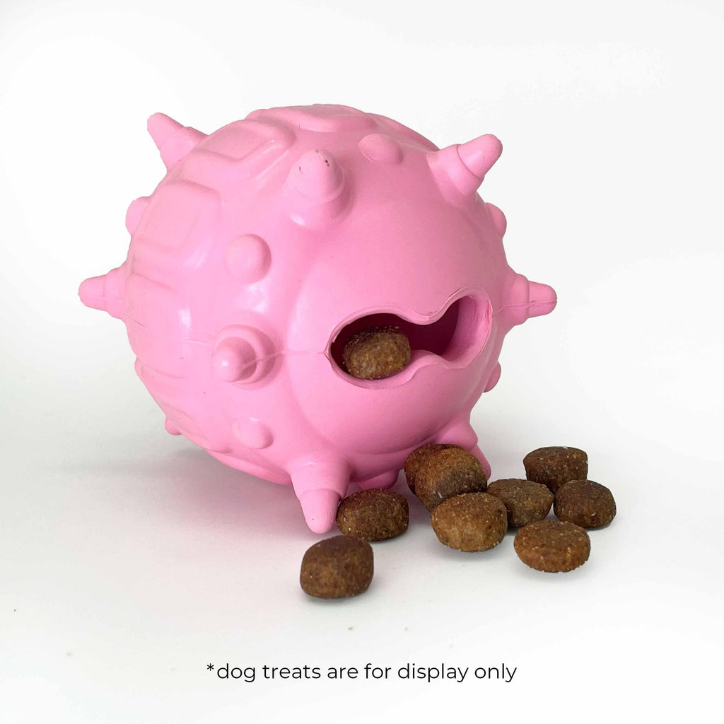 Blueberry Pet Spiky Ball Dog Chew Toy and Treat Dispenser