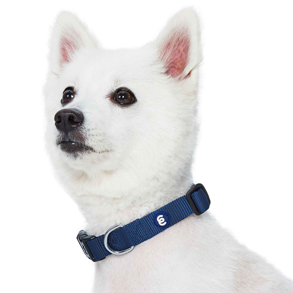 native pup Native Pup Basic Nylon Dog Collar, Adjustable For Small