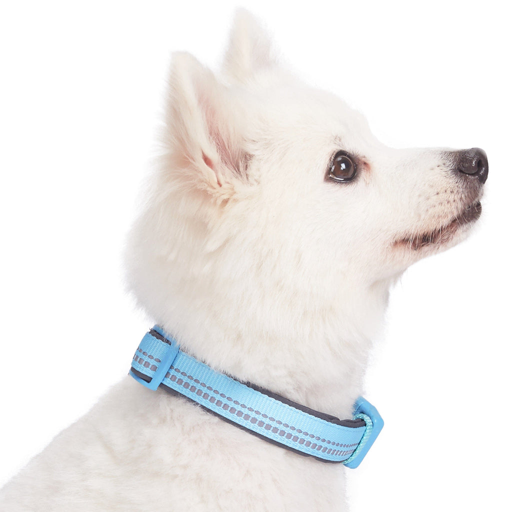Padded deals dog collars