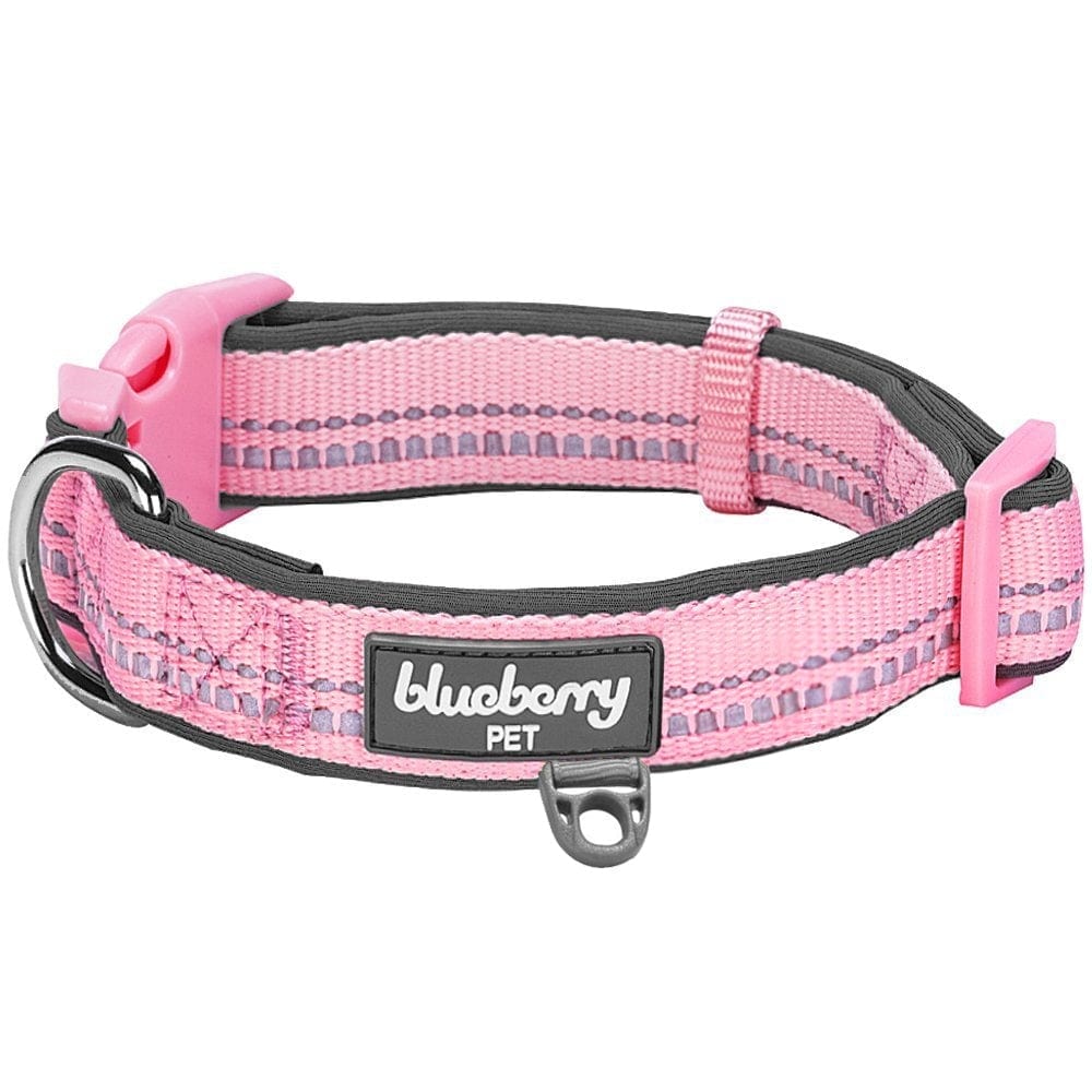 3M Reflective Dog Collar in Pastel Colors with Soft Neoprene