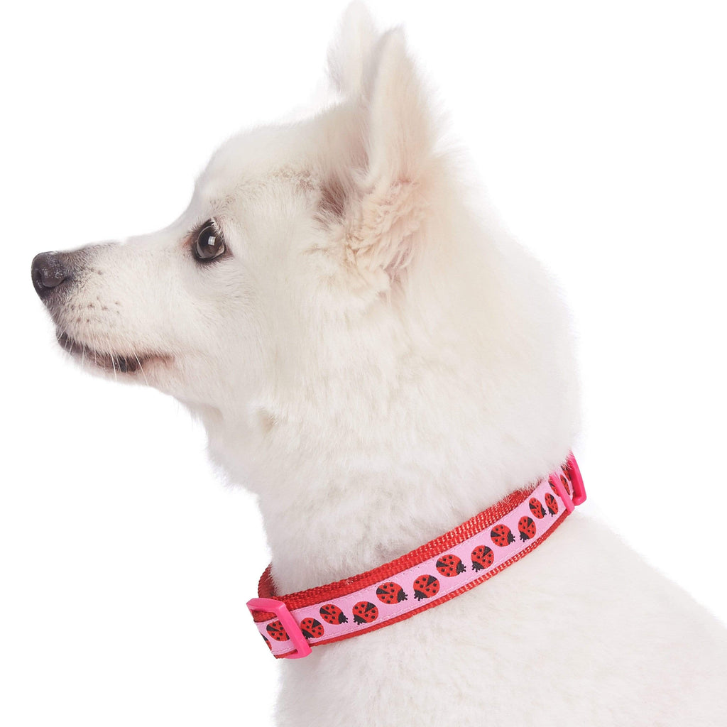 Ladybug clearance dog collar