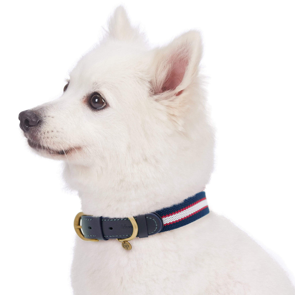 Full Grain Leather And Polyester Dog Collar For Stylish Pets ...