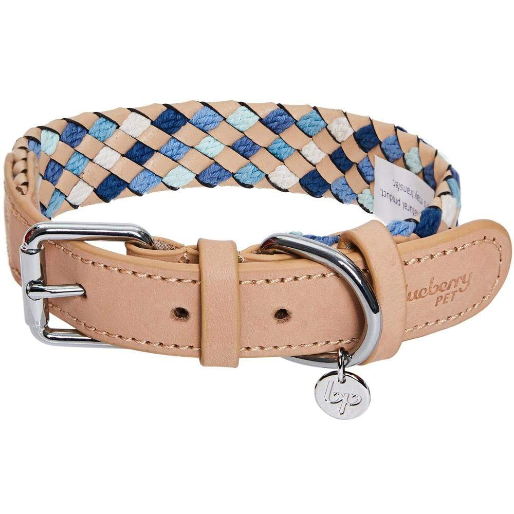 Blueberry Pet Braided Leather Dog Collar