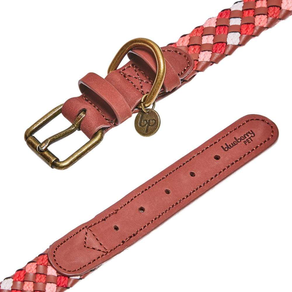 Braided collar best sale