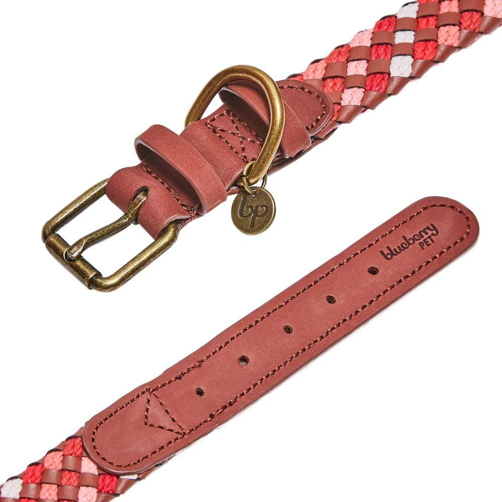 Blueberry Pet Braided Leather Dog Collar