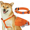 Dog Collar Leash Harness Set Essentials by Blueberry Pet Classic Solid Color Matching Dog Collar Leash and Harness Set Orange Vermilion / Small