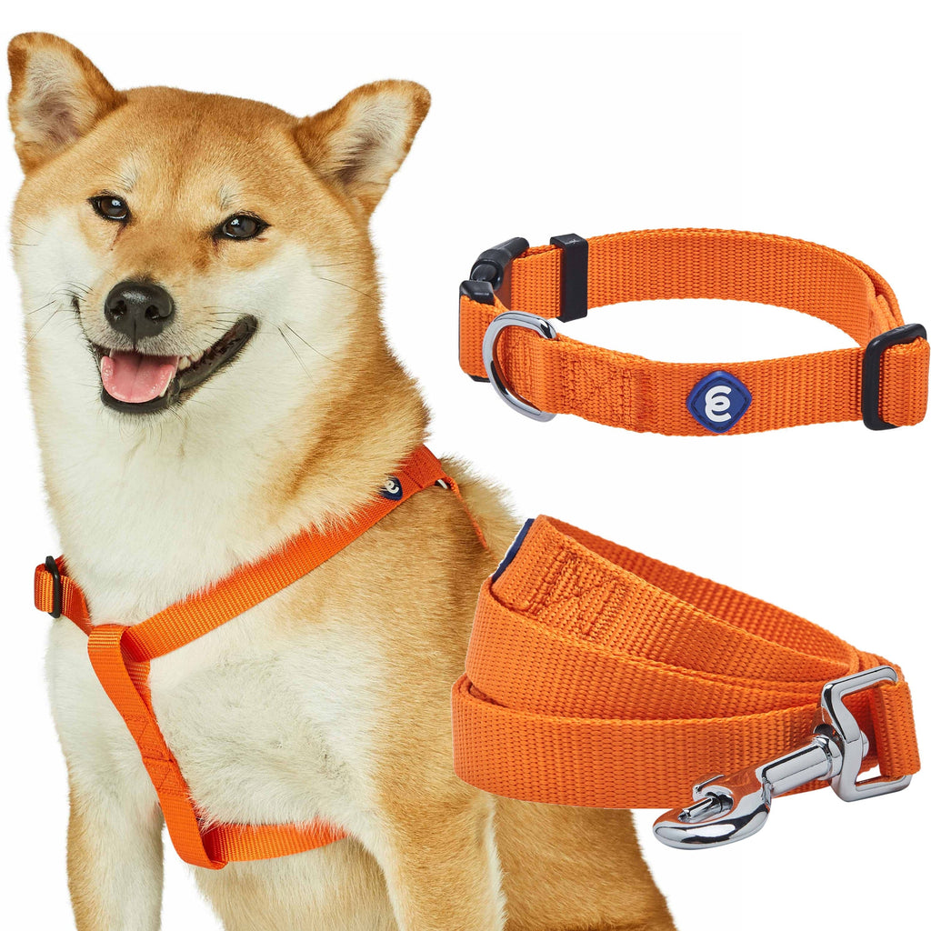 Dog Collar Leash Harness Set Essentials by Blueberry Pet Classic Solid Color Matching Dog Collar Leash and Harness Set Orange Vermilion / Small